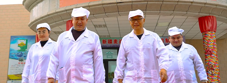 企业概况 